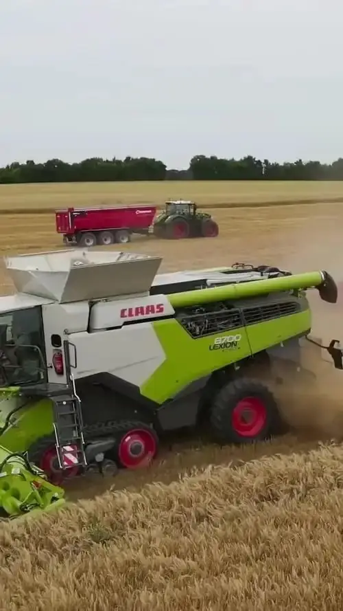 克拉斯 LEXION 8700 实机实拍，田间作业